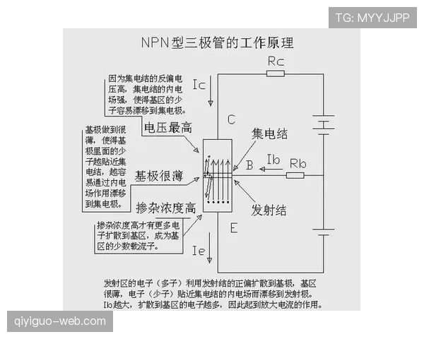 深入解析篮球比赛中卡位犯规规则的判定标准